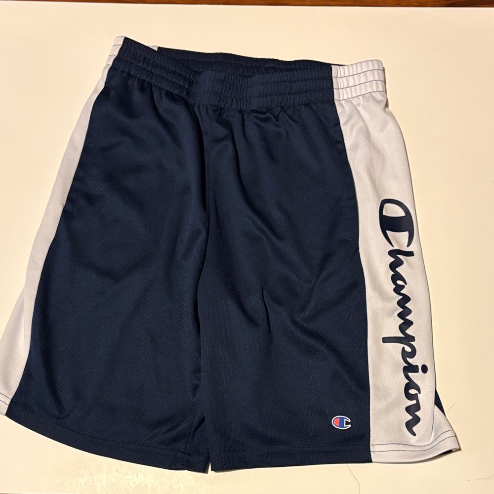 Champion Men's Athletic Shorts in Navy and White